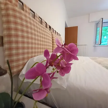 Apartment House L'aquila- Affitti Brevi Italia